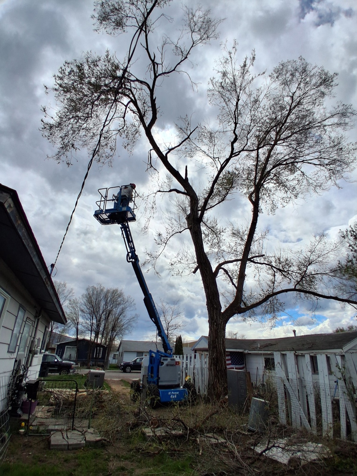 Warner Built aerial lift working on a residential tree